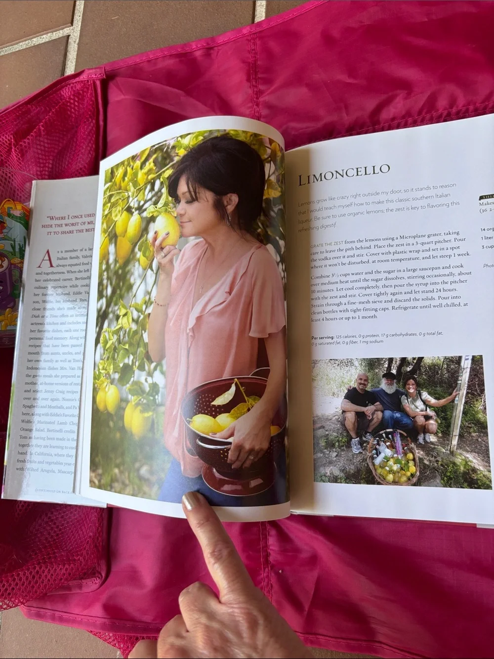 Valerie Bertinelli One Dish at a Time hardback cookbook 242 pgs. Good shape